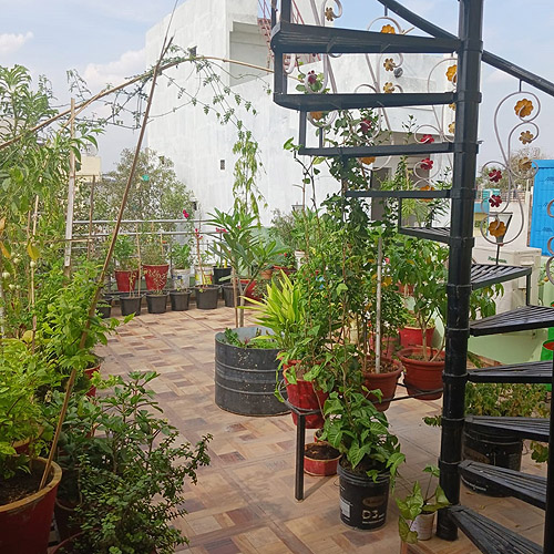 Kasera Paradise Kasera Paradise